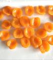 CANNED APRICOT