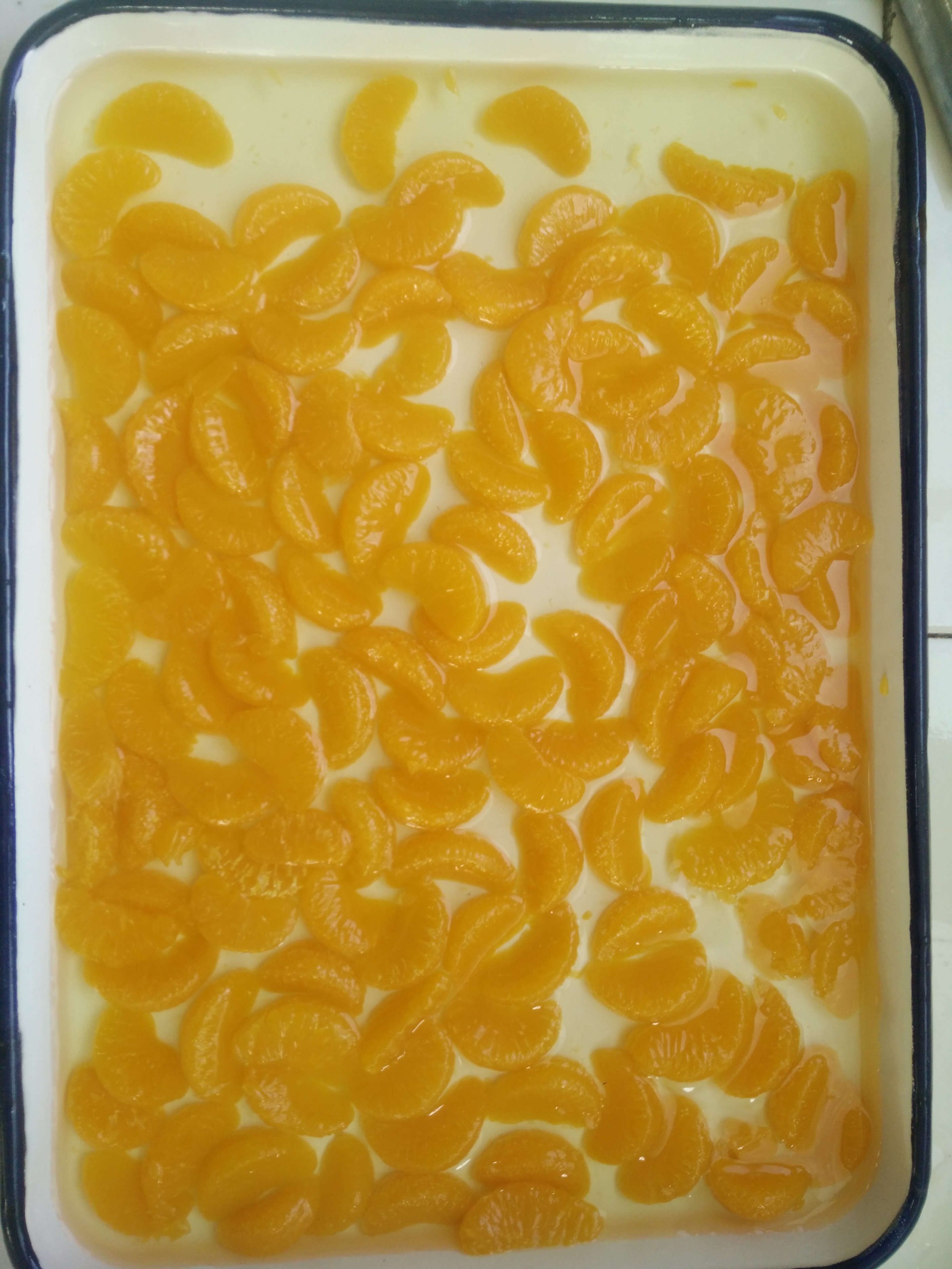 Canned mandarin orange in L/S high quality