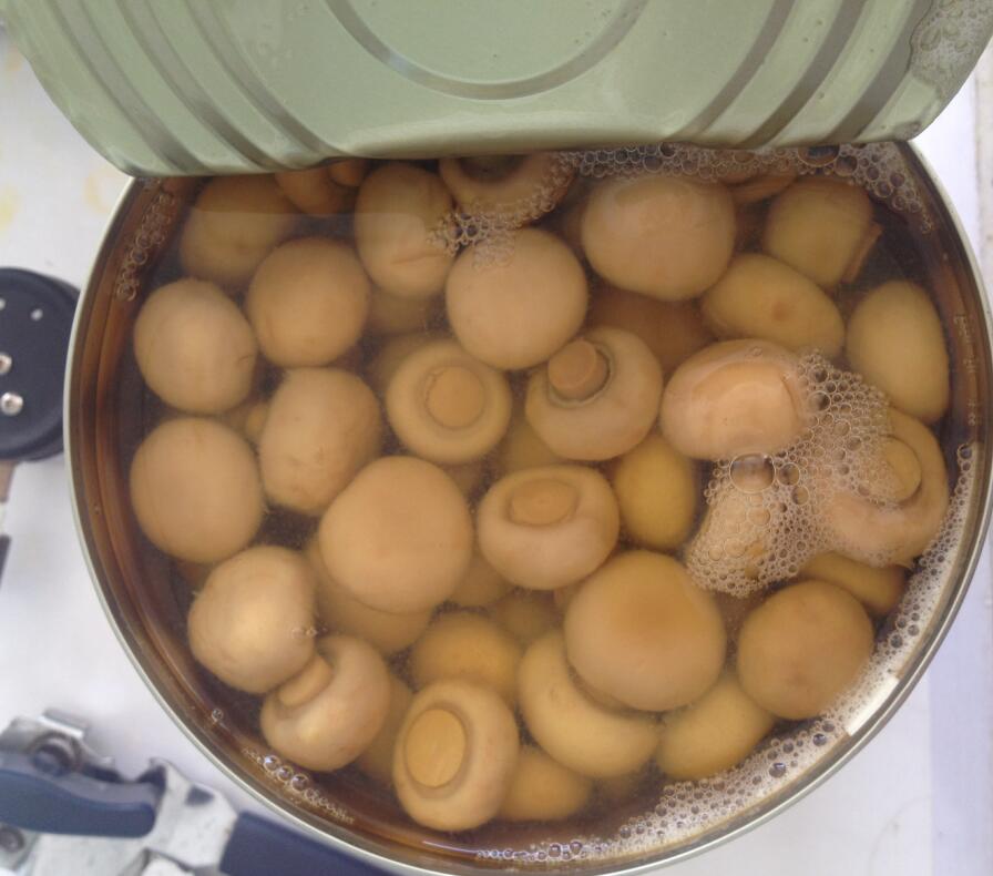 canned champignon pns 400/200g, champignon whole 850ml.