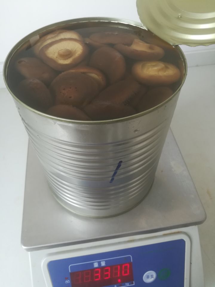 A10 canned shiitake whole 4-6cm diameter
