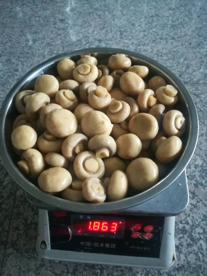 QQ图片20180531163222.jpg